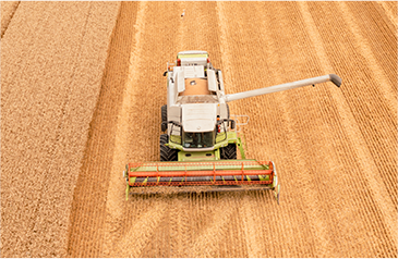 收——加大收割自动化力度，利用智能收获系统，保种保收，提产提质
