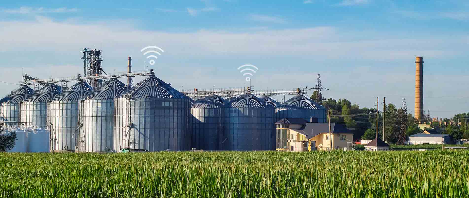 pp模拟器电子游戏助力夏粮存储新招式，科技手段更有效